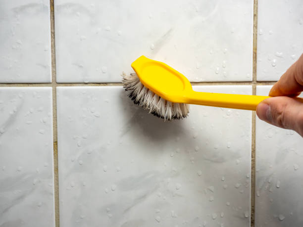 Best Preventive Mold Services in Waukesha, WI